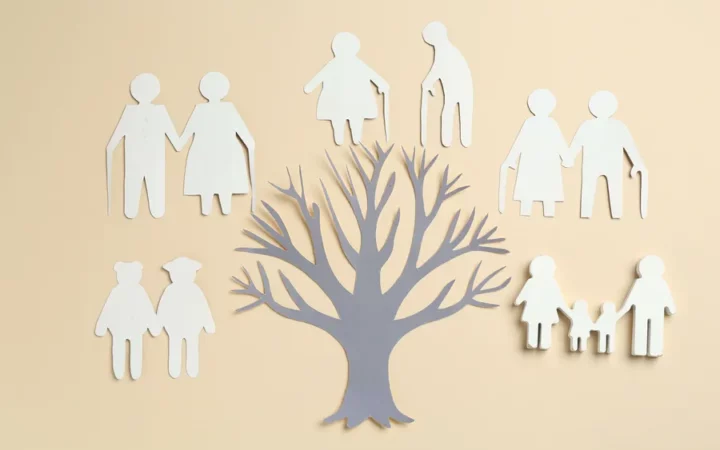 Comprendre la succession après un décès